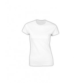 Ladies Fitted T-Shirt